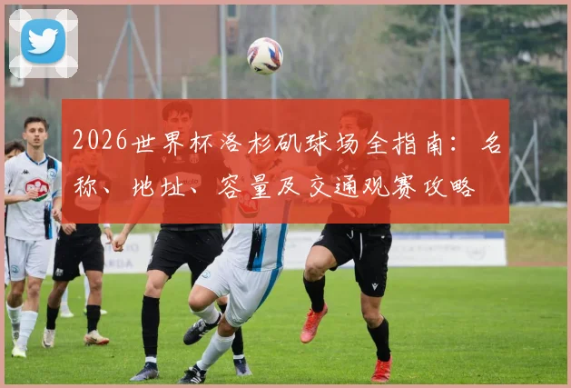 2026世界杯洛杉矶球场全指南：名称、地址、容量及交通观赛攻略